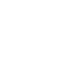 shield_3